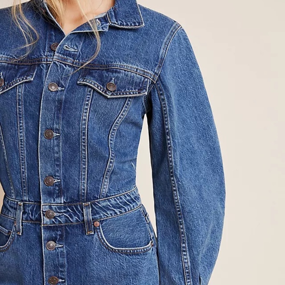 Agolde Barrel Sleeve Denim Dress